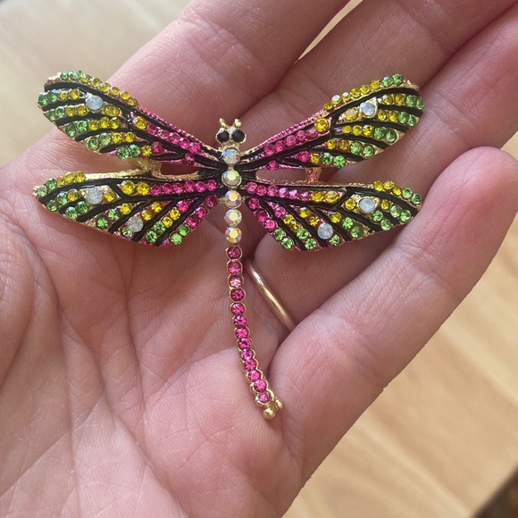 Jewelry - Colorful Dragonfly Brooch